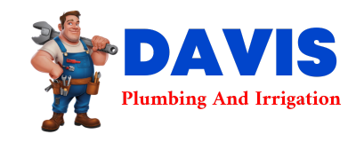 Trusted plumber in RIB LAKE